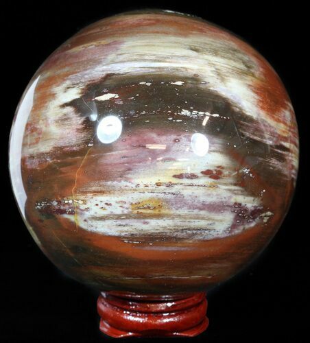 Colorful Petrified Wood Sphere #49770